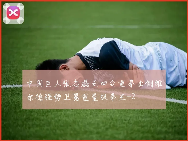 中国巨人张志磊五回合重拳击倒维尔德强势卫冕重量级拳王