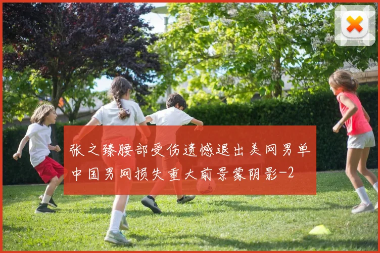 张之臻腰部受伤遗憾退出美网男单中国男网损失重大前景蒙阴影