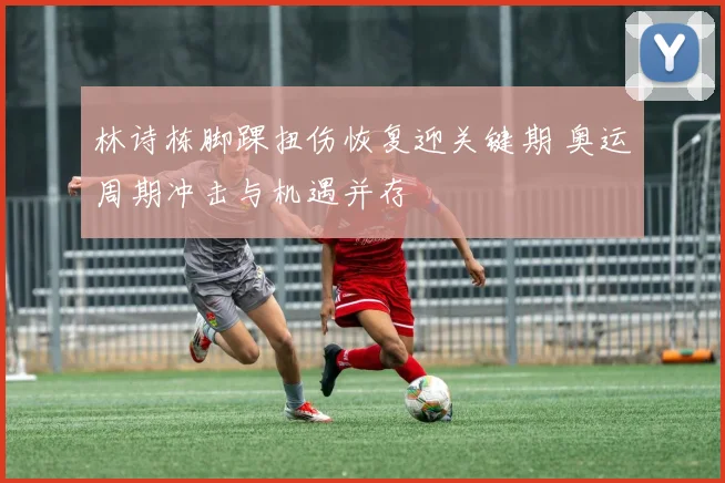 林诗栋脚踝扭伤恢复迎关键期 奥运周期冲击与机遇并存