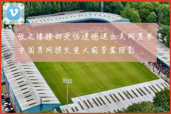 张之臻腰部受伤遗憾退出美网男单中国男网损失重大前景蒙阴影