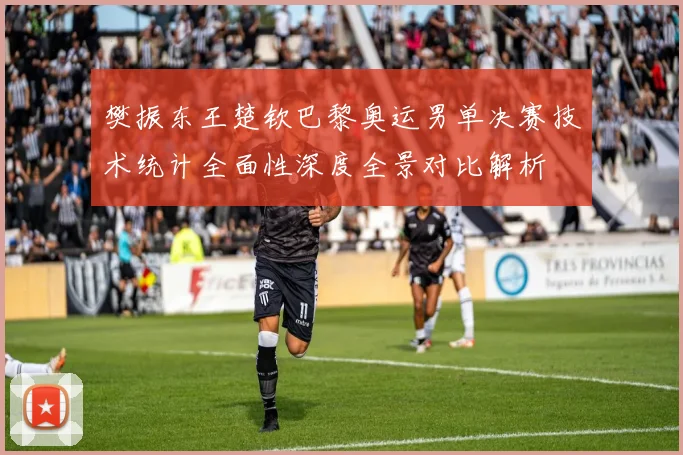 樊振东王楚钦巴黎奥运男单决赛技术统计全面性深度全景对比解析