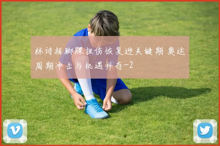 林诗栋脚踝扭伤恢复迎关键期 奥运周期冲击与机遇并存